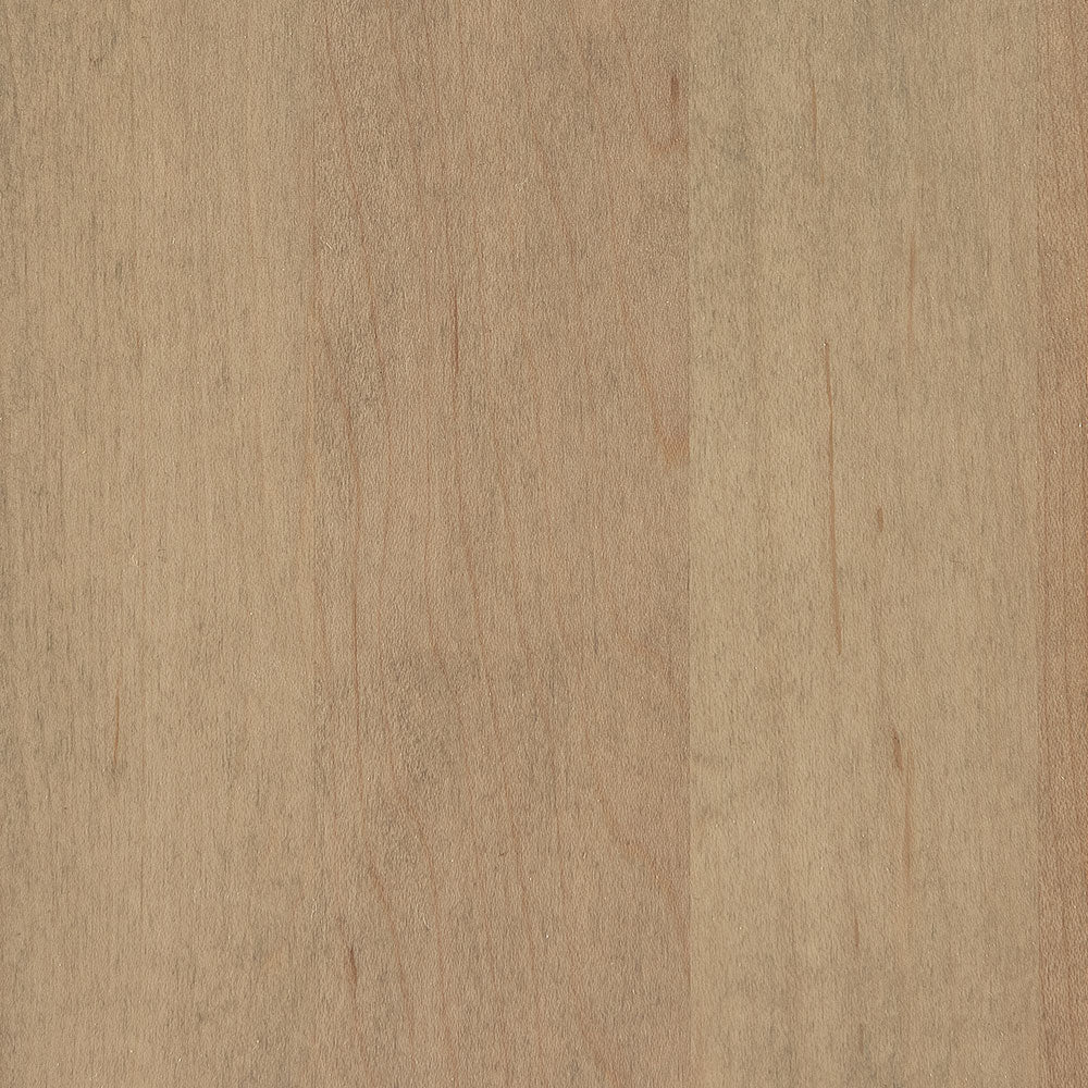 Seashell-Hard Maple