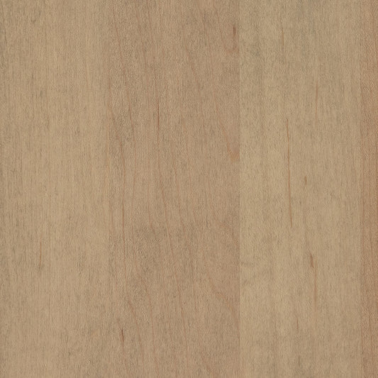 Seashell-Hard Maple