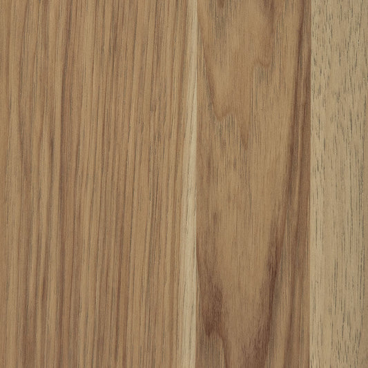 Seashell-Hickory