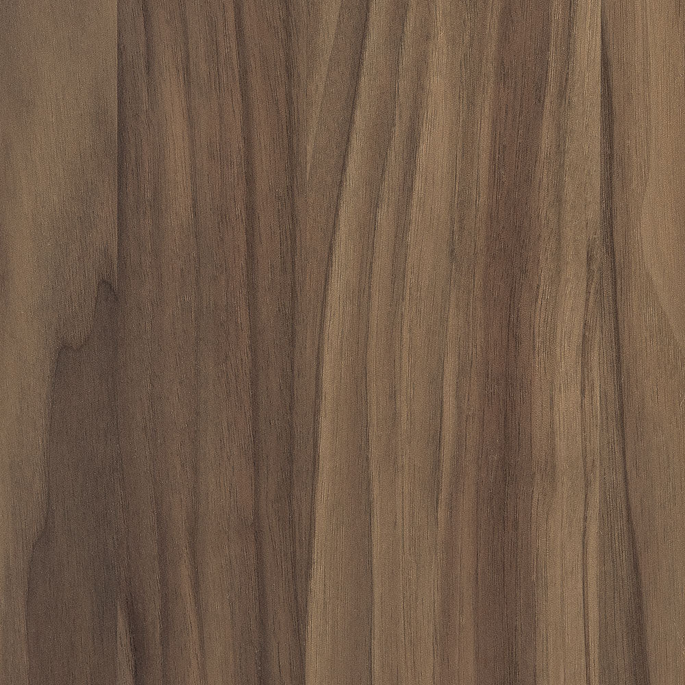 Seashell-Walnut