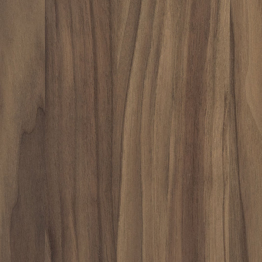 Seashell-Walnut