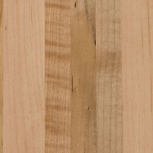 Natural stain on brown maple