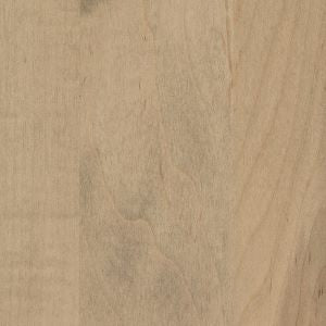 Seashell stain on brown maple