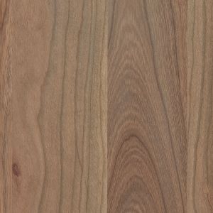 Seashell stain on cherry