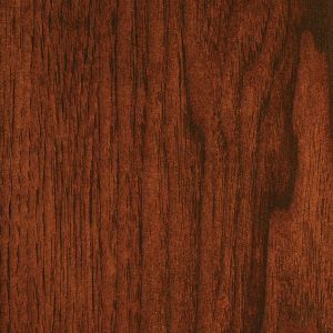 Scarlet stain on hickory