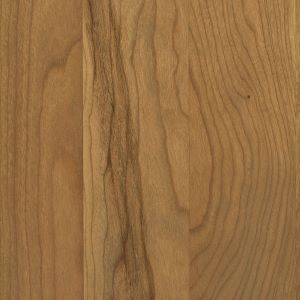 Seashell stain on sap cherry